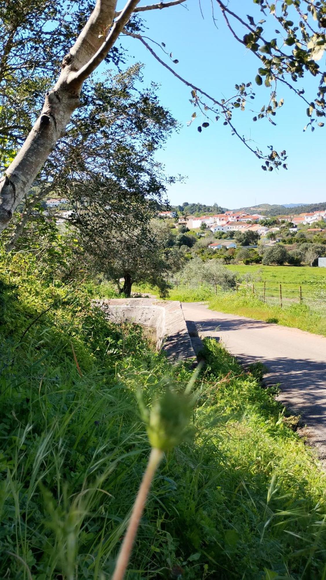 Paraiso Da Aldeia São Bartolomeu de Messines エクステリア 写真
